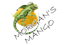 Morgans-Mango-st-johns-virgin-islands.png